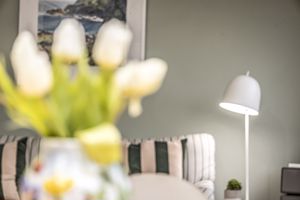 .- click for photo gallery